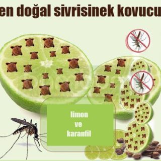 Sivrisinek Kovucu