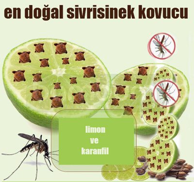 Sivrisinek Kovucu