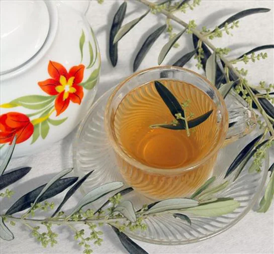 Zeytin Yaprağı Çayı