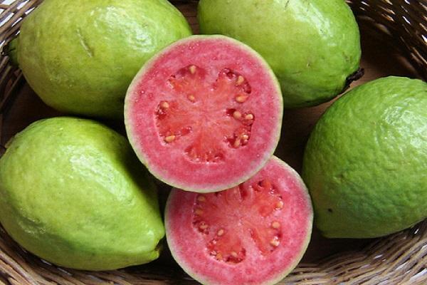 Guava Meyvesi