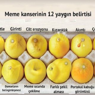 Limon ve Meme Kanseri