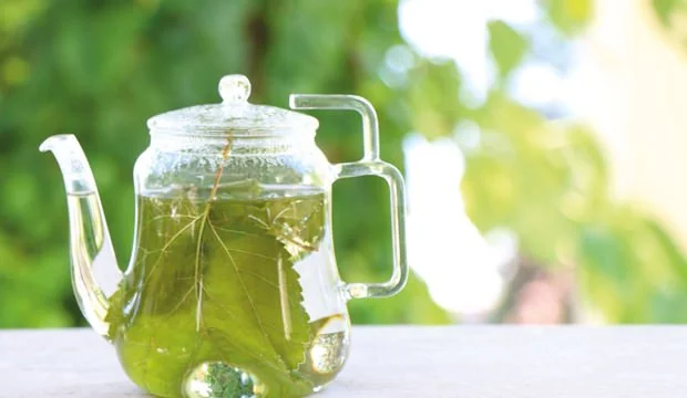 Dut Yaprağı Çayı
