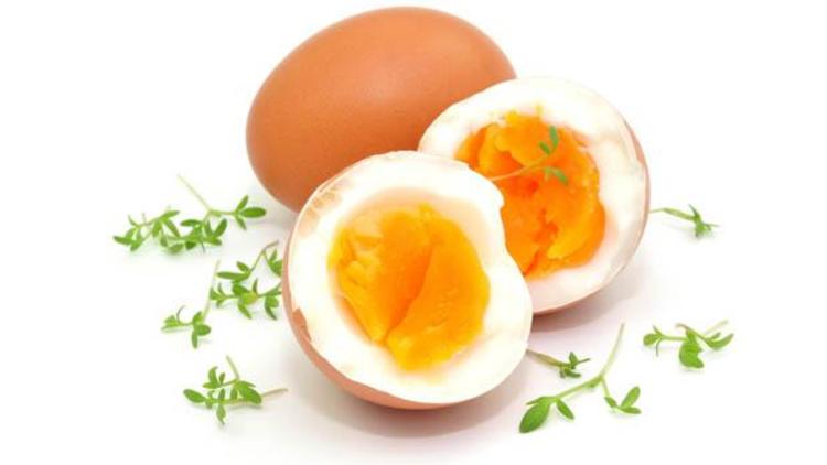 hafıza güçlendirici yumurta