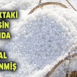 mutfaktaki doğal insülin