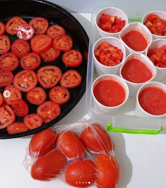 buzlukta domates saklama
