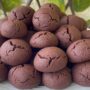 kakaolu kurabiye tarifi